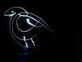 DSC_3179_web