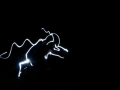 DSC_3191_web