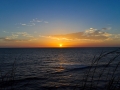 DSC_0001_web