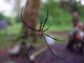 DSC_0086-1_web