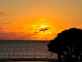 DSC_0086_web