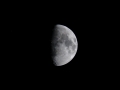 DSC_0468_web
