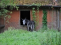 DSC_0561_web