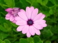 DSC_2083_web