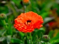 DSC_2662_web