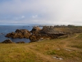 DSC_2693_web