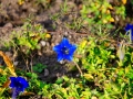 DSC_2710_web