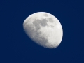 DSC_3361_web