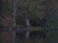 DSC_4705_web