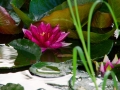 DSC_4987_web