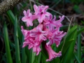 DSC_5568_web