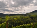 DSC_6788_web