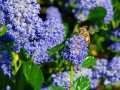 DSC_7081test_web