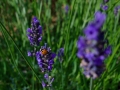 DSC_7766_web