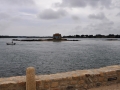 DSC_7891_web