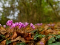 DSC_9313_web