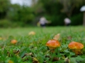 DSC_9361_web