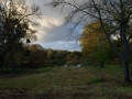 DSC_9378_web