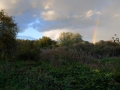 DSC_9384_web