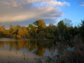 DSC_9398_web