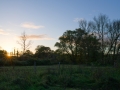 DSC_9406_web