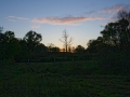 DSC_9411_web