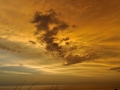 GAPN_15_web