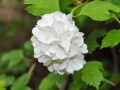 GAPN_21_web